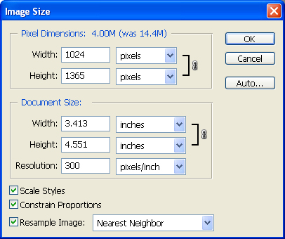 Image Resize Dialog Box